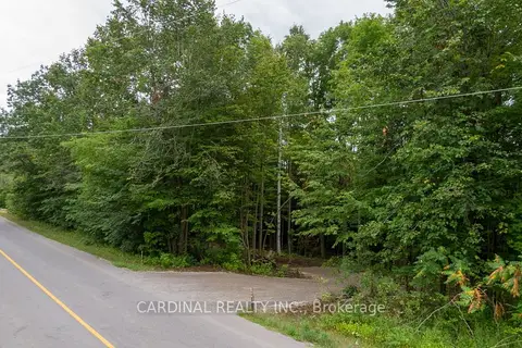 Part 1 Gully Road