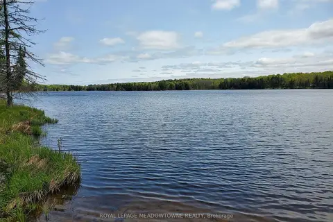 PT4