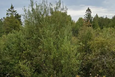 2 Cherry hill Road