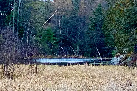 LOT 0-B LEGROU'S LAKE Road