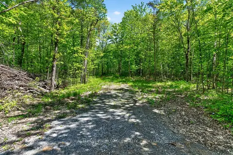 PT LTS 12 & 13 Devil Lake Road
