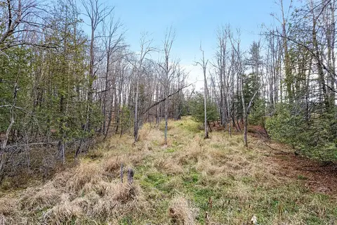 PT 1-00 Herron Mills Road