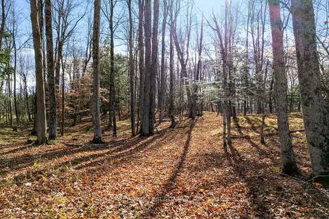 PT 2-00 Herron Mills Road