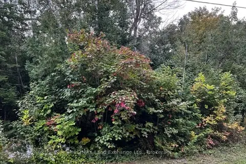 5 SHORE Road