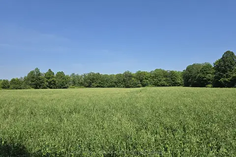 0 Shannonville Road