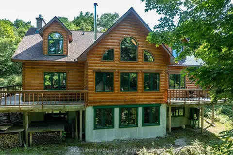 142 Paddy's Lane