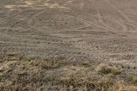 PT 24 CROWN Road