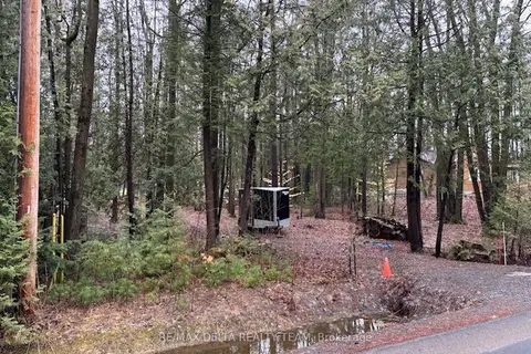 LOT 2 CONCESSION 5 Road