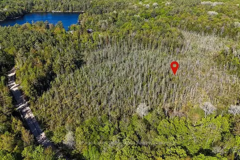 1356 Dickie Lake Road