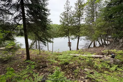0 POVERTY BAY Trail