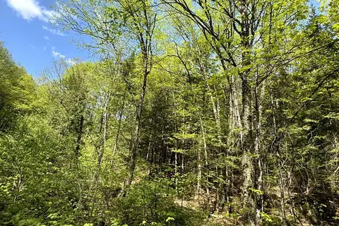 0 Salmon Trout Lake Road
