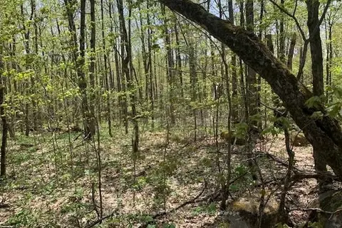 2376 SOUTH HORN LAKE Road