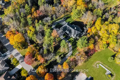 455 William St