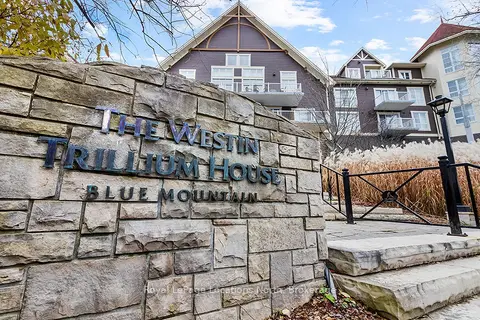 220 GORD CANNING Drive 313