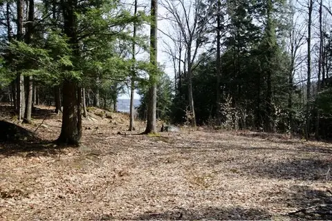 22 Gryffin Bluffs Lane 6