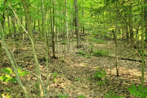 32 MOUNT VERNON Trail 22