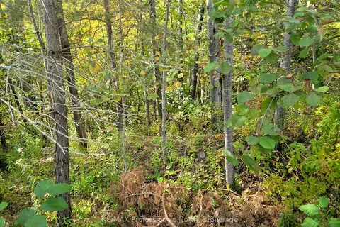 4 FOX RUN Lane 32