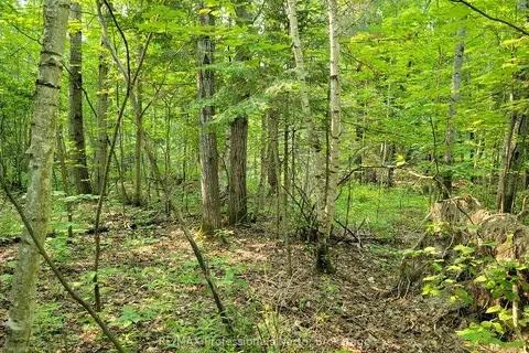 29 MOUNT VERNON Trail 29