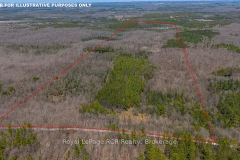 Lot 53/54 West Back Line