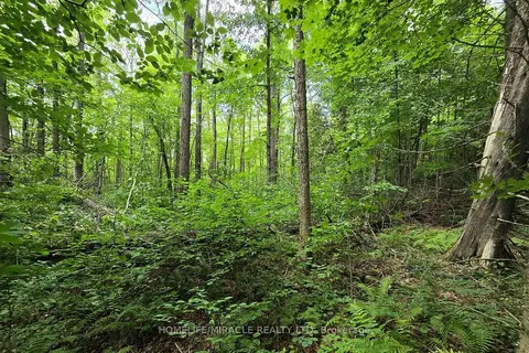 000 Cedar Sands Road