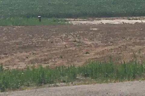 3151 County Rd 2