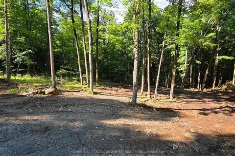 2456 CONC DALHOUSIE Concession