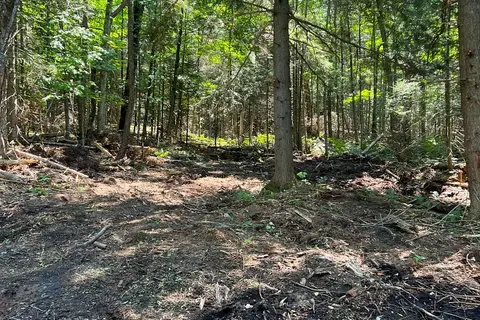 LOT 29 WEST Court