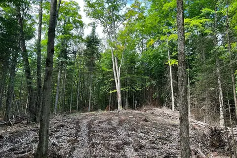 LOT 26 WEST Court