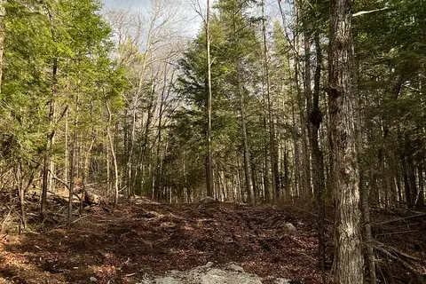 LOT 27 BUSHWOLF LAKE Road