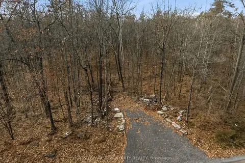 64 Maple Road