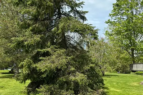 13 Pollard Drive