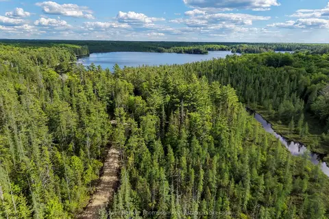 Part 5 AXE LAKE Road