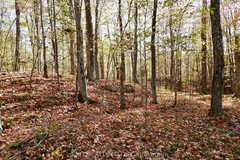 Lot 1 Woodland Park Drive