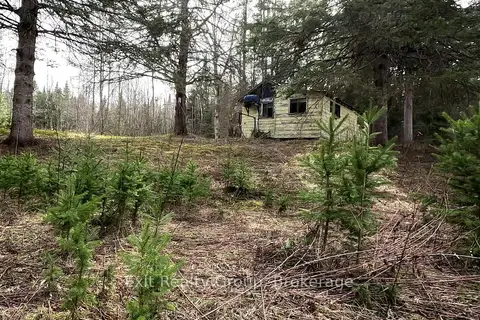 3606 County Road 620