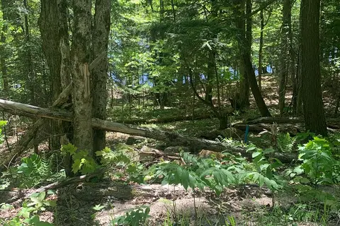 00 Wurm Road