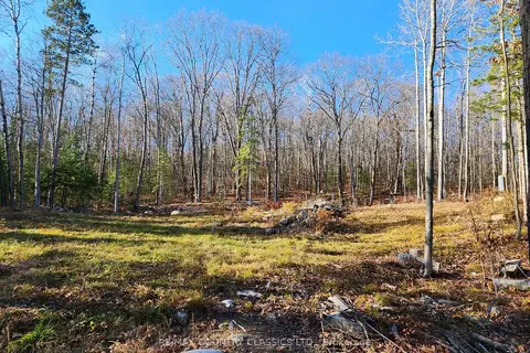 790 Mitchell Road