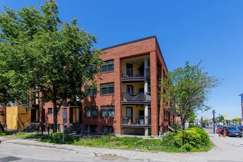 255 Clarence Street 10