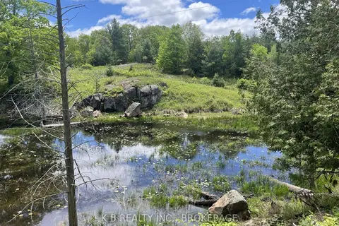 2970 Mountain Road