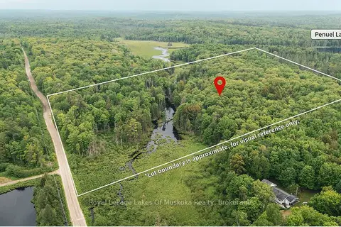 254 Expressway Road