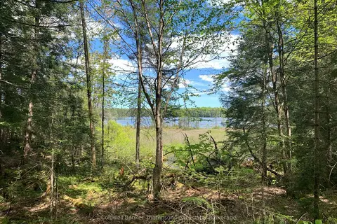 Lot 16 Maxwell Lane
