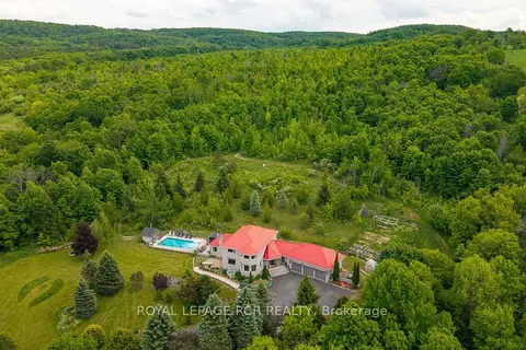 529648 Osprey-The Blue Mountains Townline