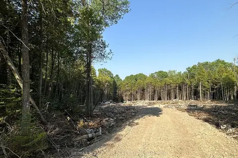 42 Trillium Crossing