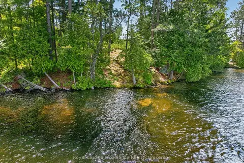 2485 Alf's Bay Lane
