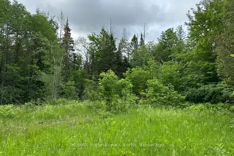 1164 Ravine Road