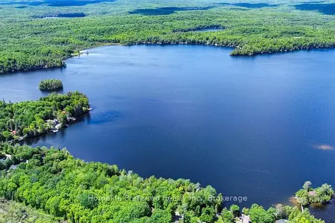 1234 Upper Paudash Lake Road