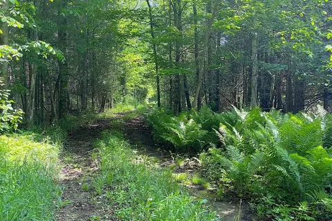 00 Johnston Road