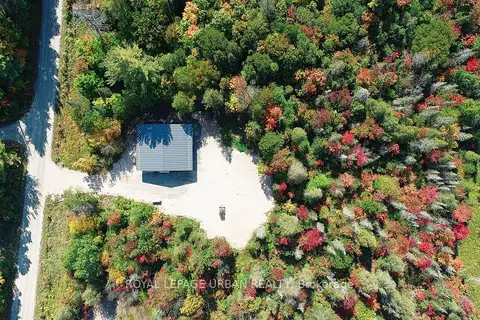 800 Rye Road