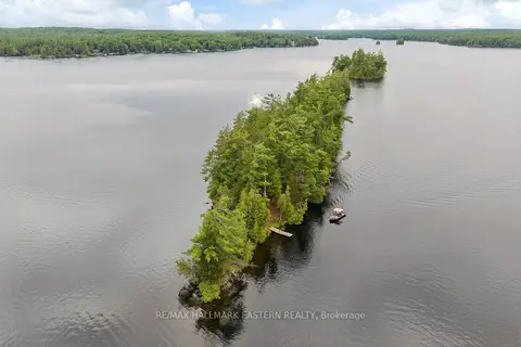 281 STRING Island S