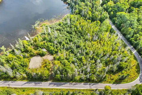 315 Scarlett Road