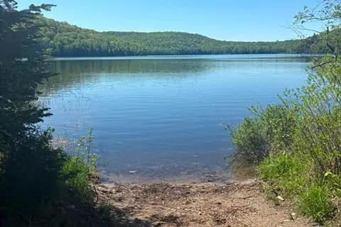 371 Albion Lake Drive